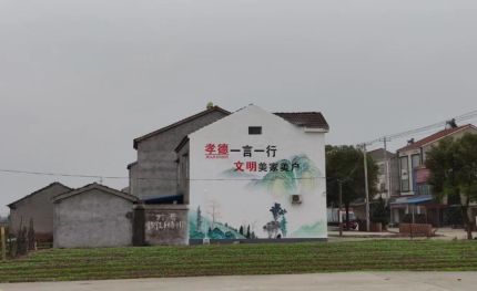 合阳新农村墙绘